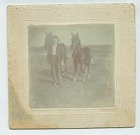  Sanford Perry Tracy (1887-1960) with horses.